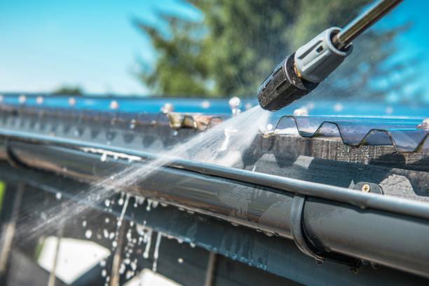 Best Roof Pressure Washing  in Pigeon, MI