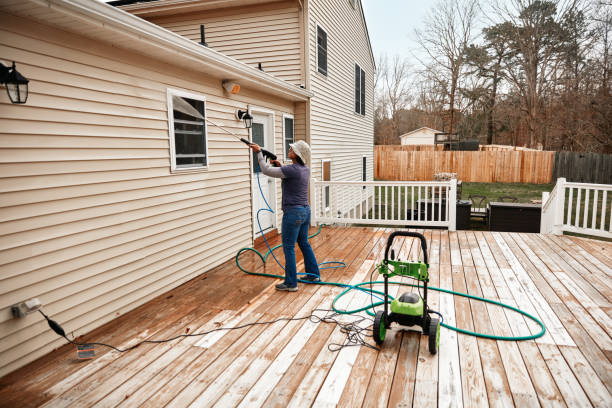 Best House Pressure Washing  in Pigeon, MI