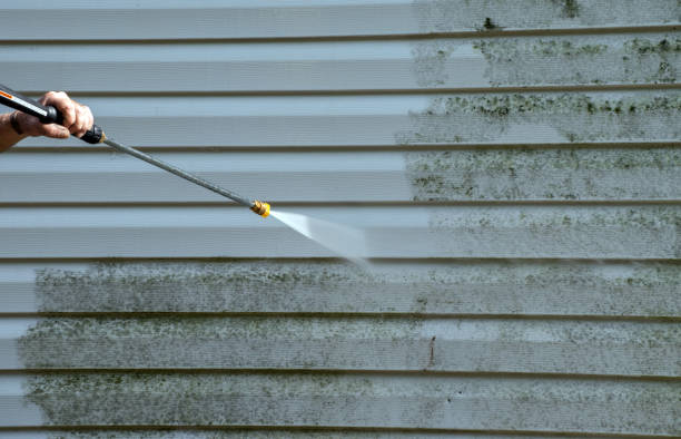 Best Best Pressure Washing Companies  in Pigeon, MI