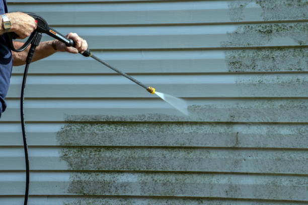 Best Pressure Washing Near Me  in Pigeon, MI