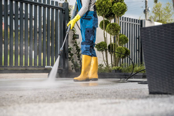 Best House Pressure Washing  in Pigeon, MI