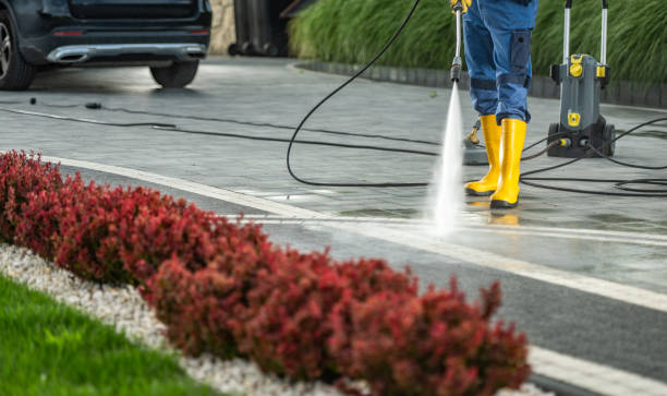 Best Pressure Washing Company Near Me  in Pigeon, MI