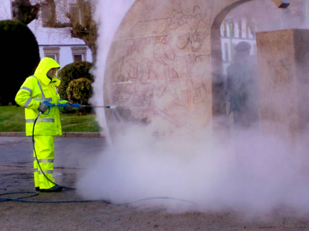 Best Concrete Pressure Washing  in Pigeon, MI