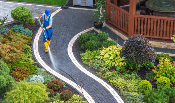 Best Roof Power Washing Services  in Pigeon, MI